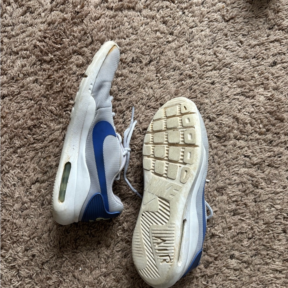 Nike Air Max Blue and Gray Shoes
